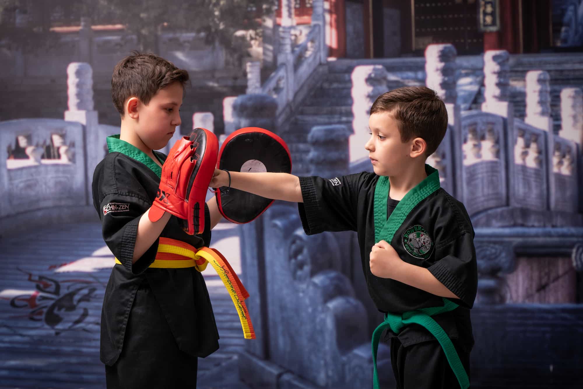 Power Tigers Training