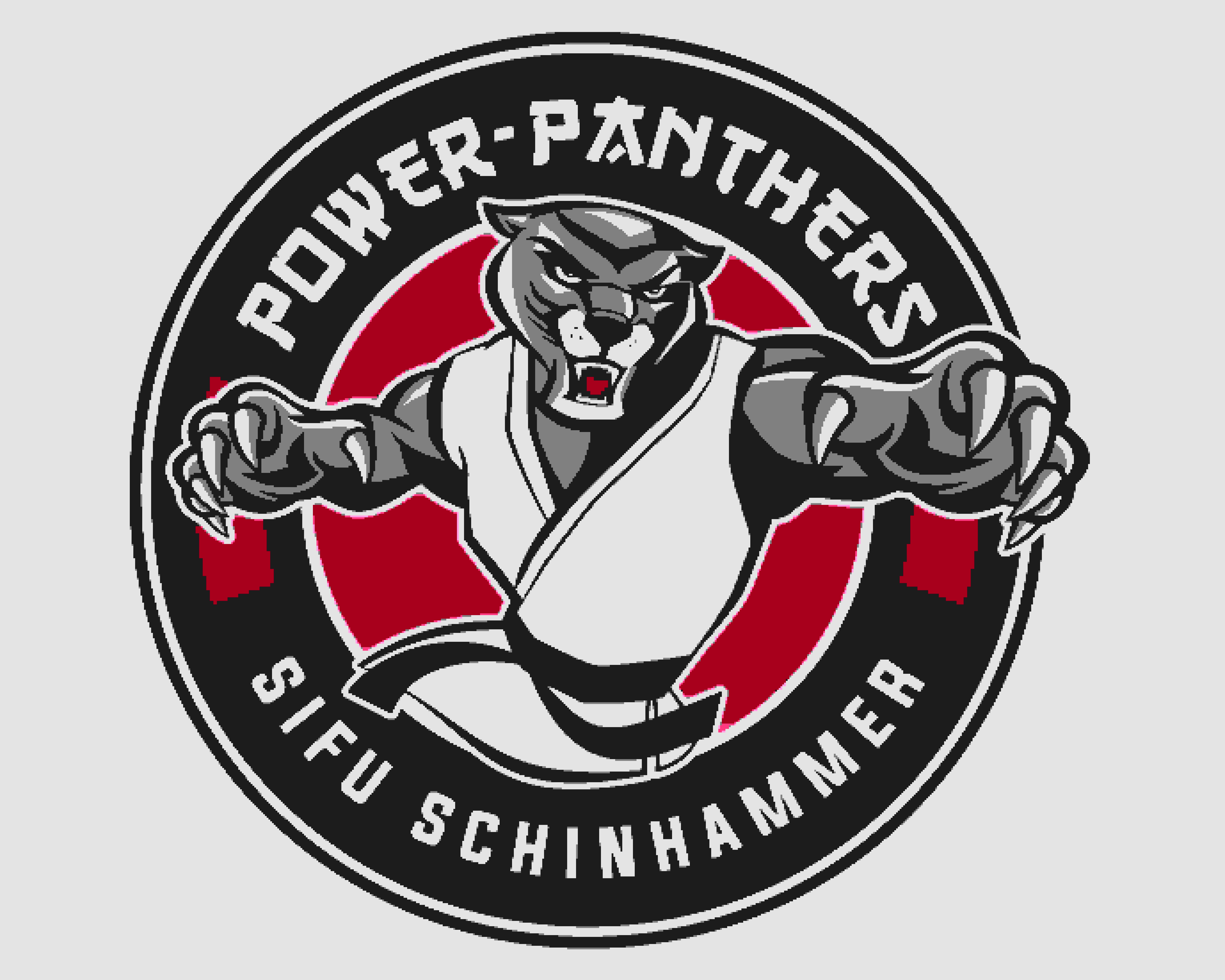 Power Panthers Logo